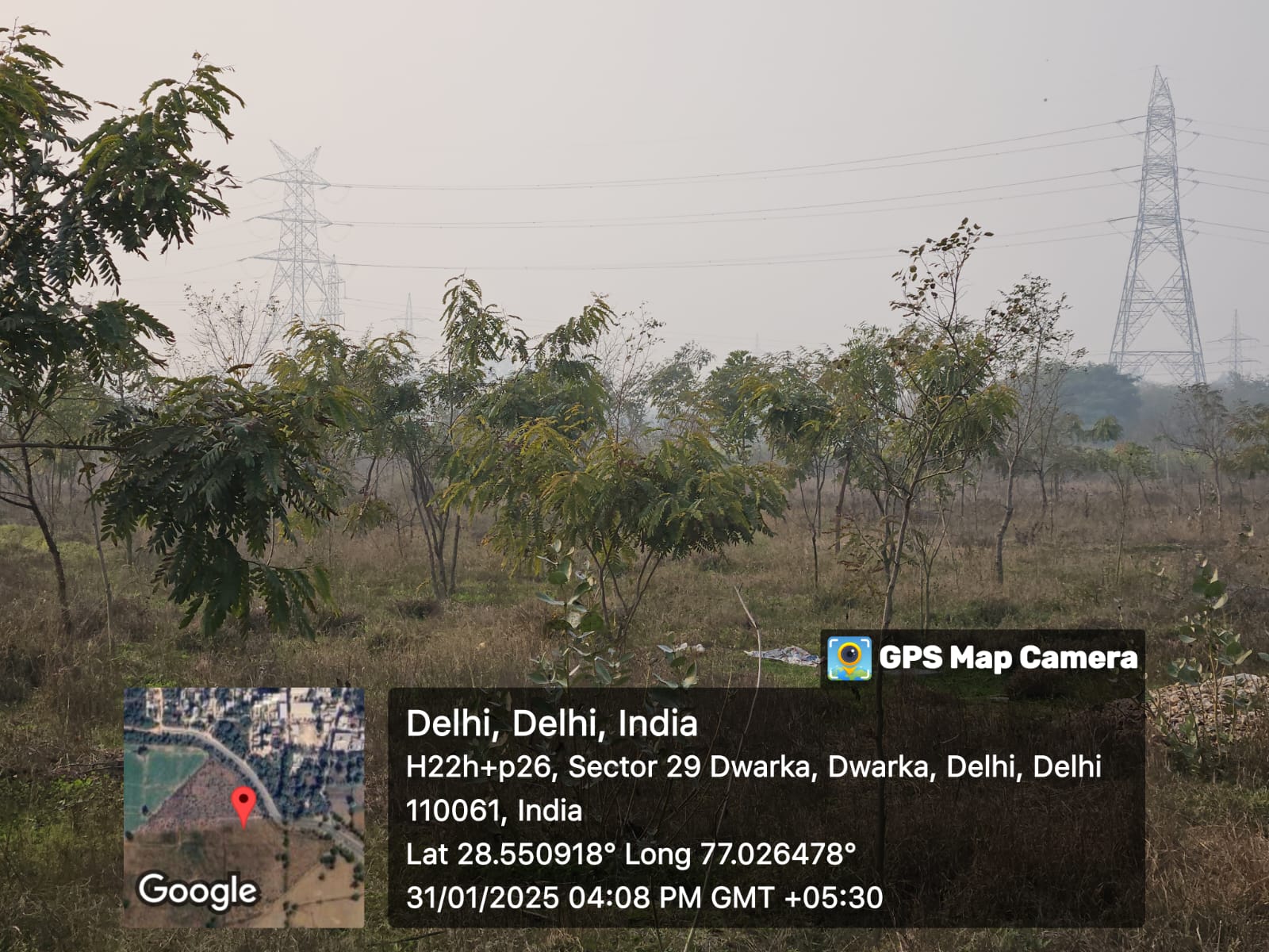 Compensatory Afforestation